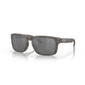 Oakley Holbrook Woodgrain/Prizm Black Polarized 0OO9102-9102W9